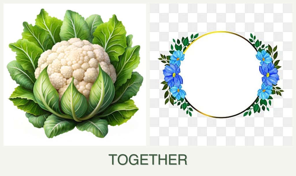 Can you plant cauliflower and zinnias together?