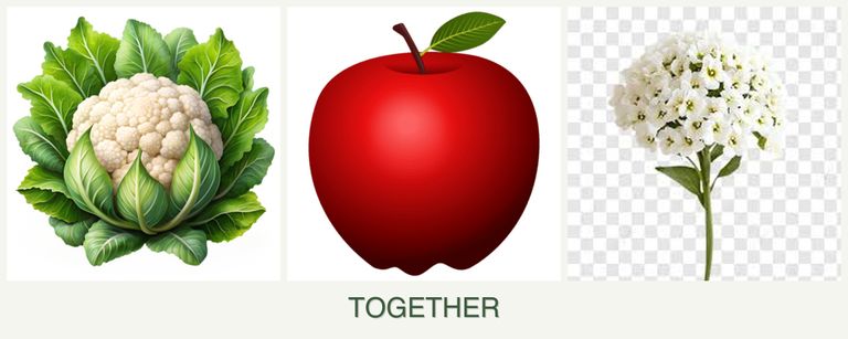 Can you plant cauliflower, apples and alyssum together?