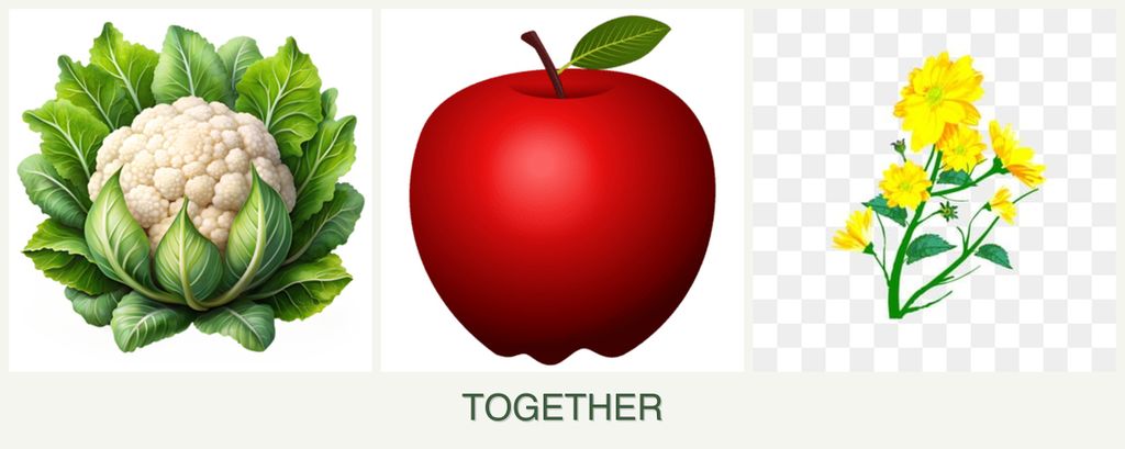 Can you plant cauliflower, apples and calendula together?