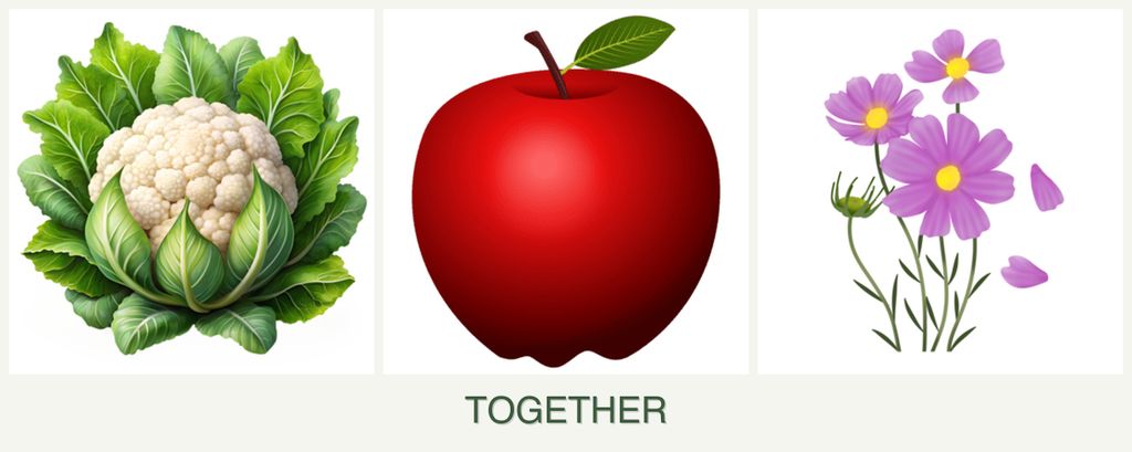 Can you plant cauliflower, apples and cosmos together?