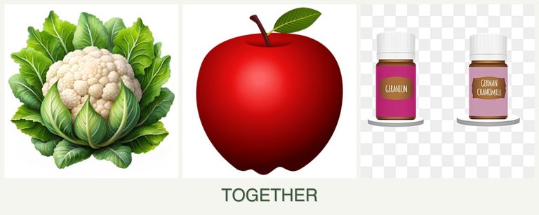 Can you plant cauliflower, apples and geraniums together?