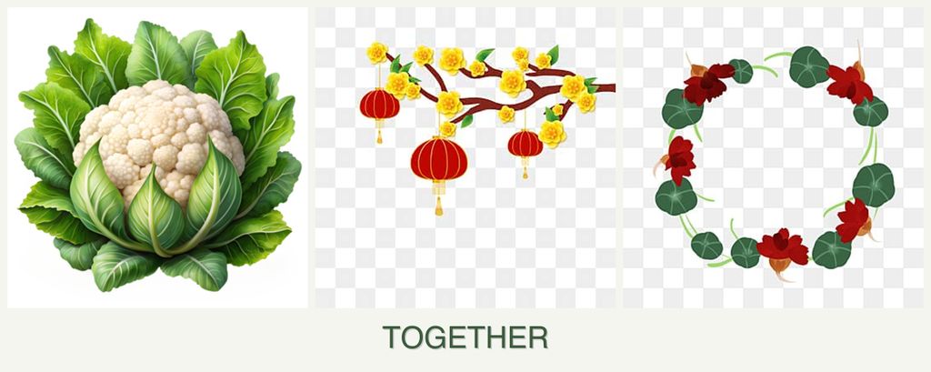 Can you plant cauliflower, apricots and nasturtiums together?