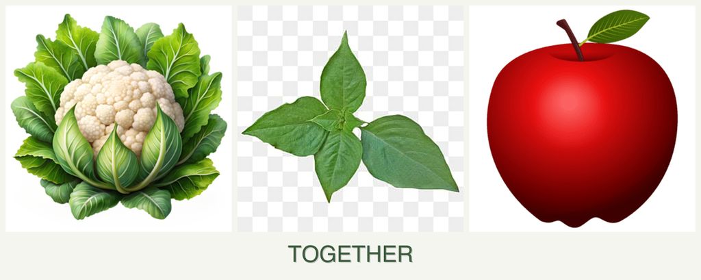 Can you plant cauliflower, basil and apples together?