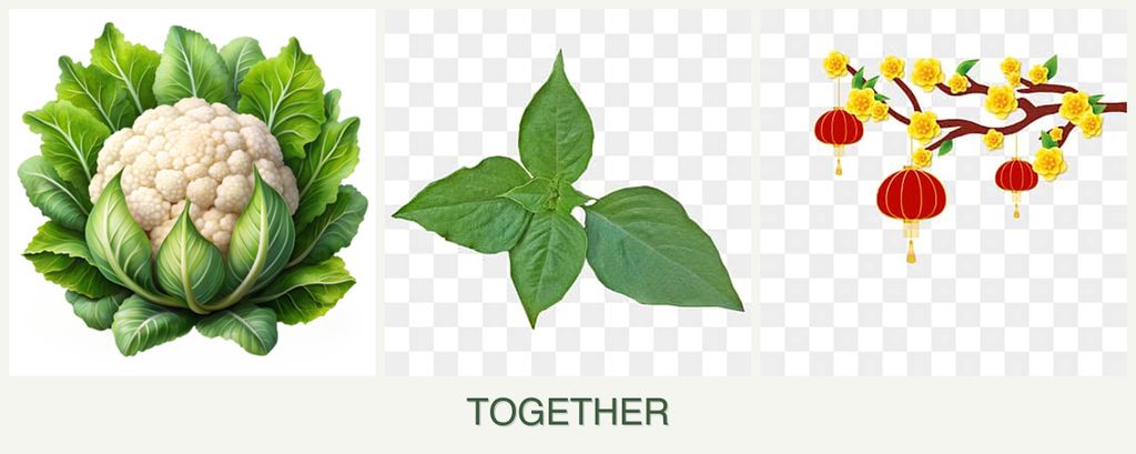 Can you plant cauliflower, basil and apricots together?