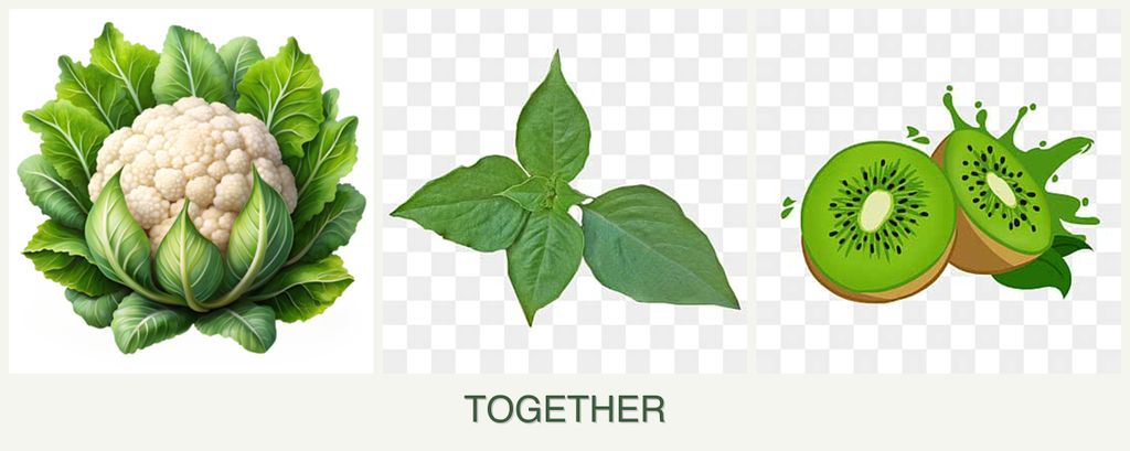 Can you plant cauliflower, basil and kiwi together?
