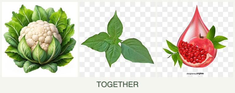 Can you plant cauliflower, basil and pomegranates together?