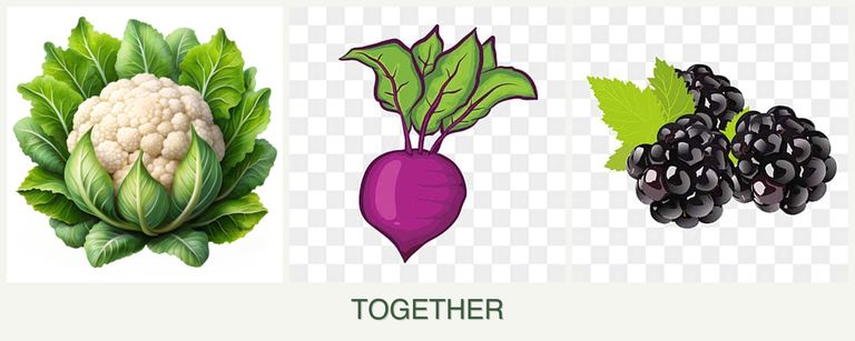 Can you plant cauliflower, beets and blackberries together?