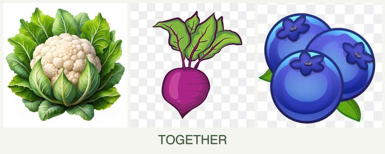 Can you plant cauliflower, beets and blueberries together?