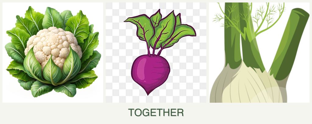 Can you plant cauliflower, beets and fennel together?
