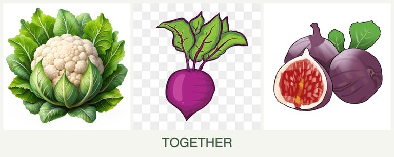 Can you plant cauliflower, beets and figs together?