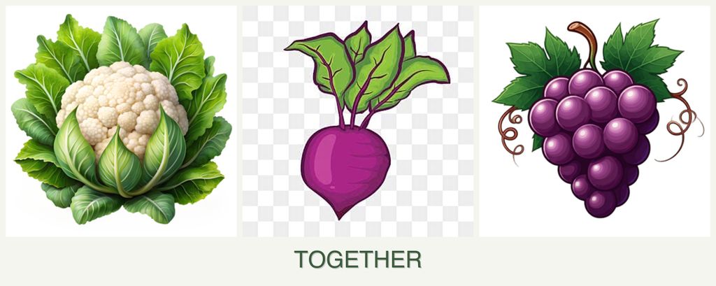 Can you plant cauliflower, beets and grapes together?