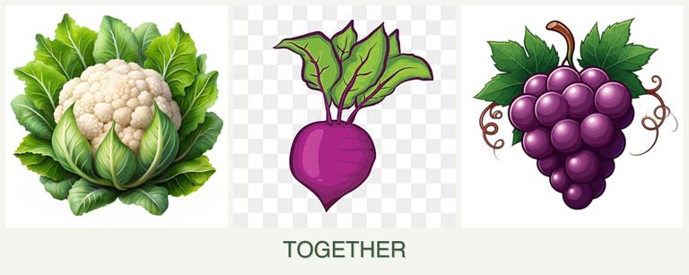 Can you plant cauliflower, beets and grapes together?