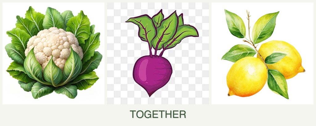 Can you plant cauliflower, beets and lemons together?