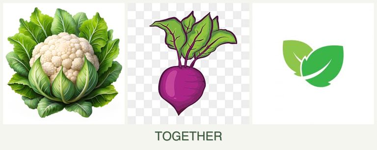 Can you plant cauliflower, beets and mint together?