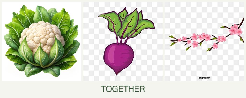 Can you plant cauliflower, beets and peaches together?