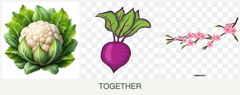 Can you plant cauliflower, beets and peaches together?