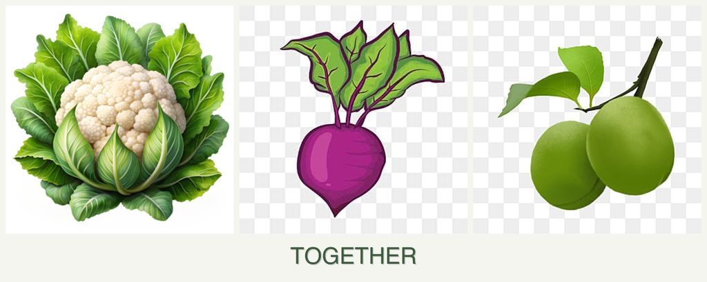 Can you plant cauliflower, beets and plums together?
