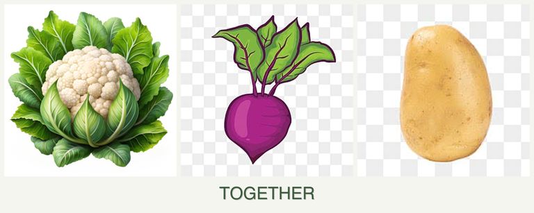 Can you plant cauliflower, beets and potatoes together?