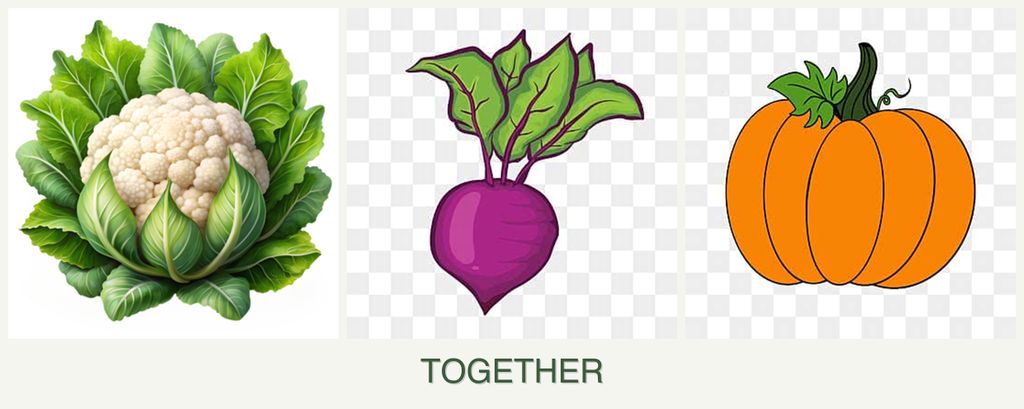 Can you plant cauliflower, beets and pumpkin together?