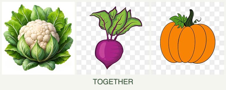 Can you plant cauliflower, beets and pumpkin together?
