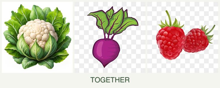 Can you plant cauliflower, beets and raspberries together?