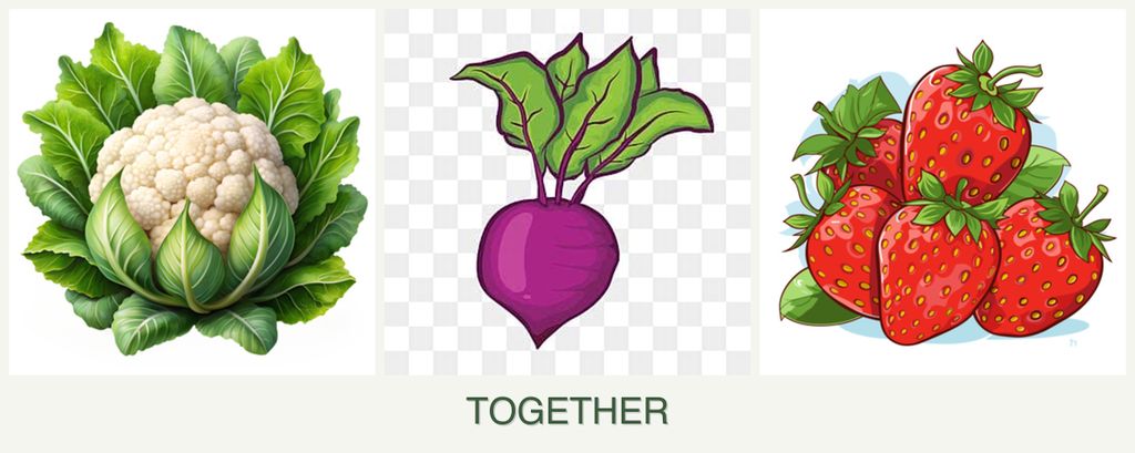 Can you plant cauliflower, beets and strawberries together?