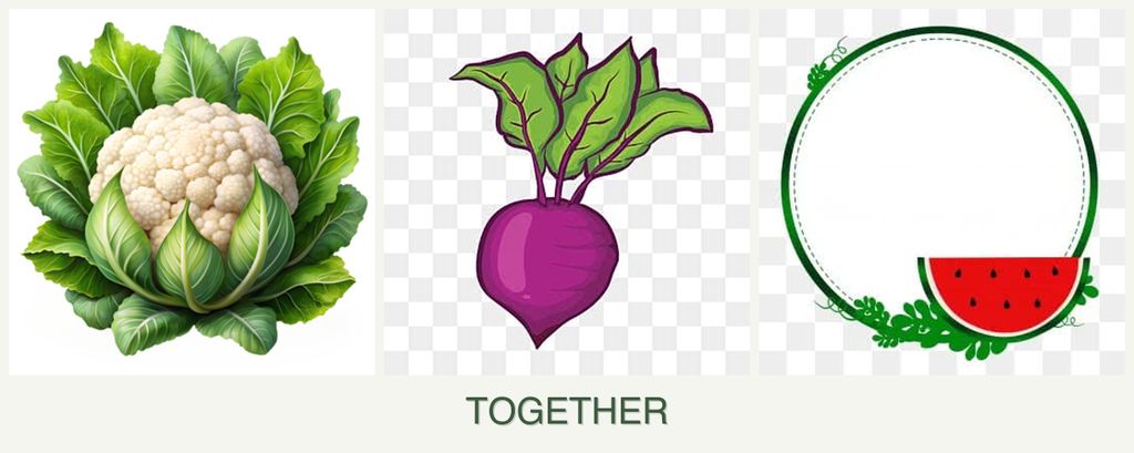 Can you plant cauliflower, beets and watermelons together?