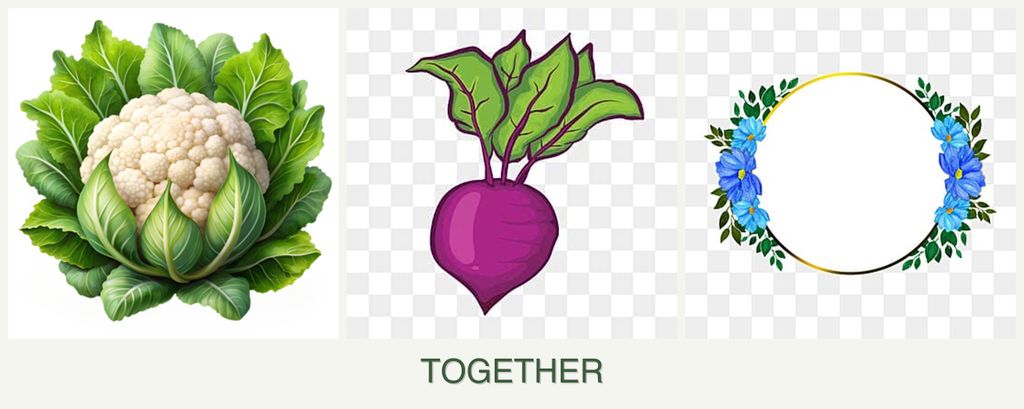 Can you plant cauliflower, beets and zinnias together?