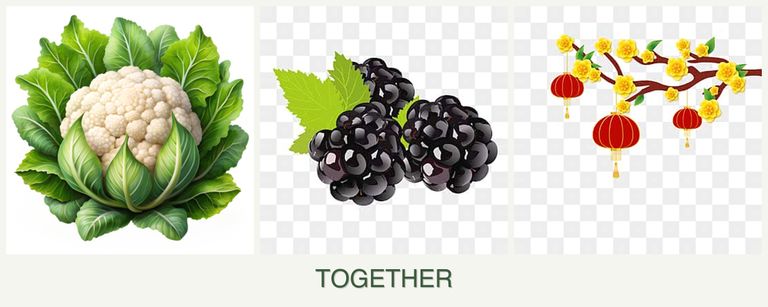 Can you plant cauliflower, blackberries and apricots together?