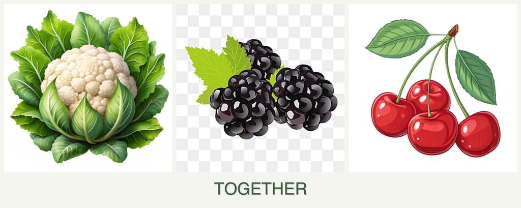 Can you plant cauliflower, blackberries and cherries together?