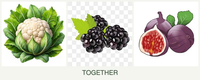 Can you plant cauliflower, blackberries and figs together?