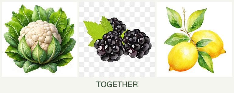 Can you plant cauliflower, blackberries and lemons together?