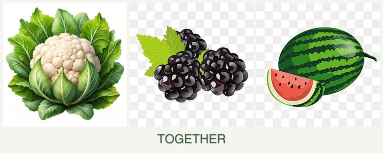 Can you plant cauliflower, blackberries and melons together?