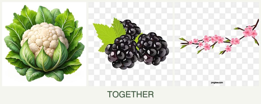 Can you plant cauliflower, blackberries and peaches together?