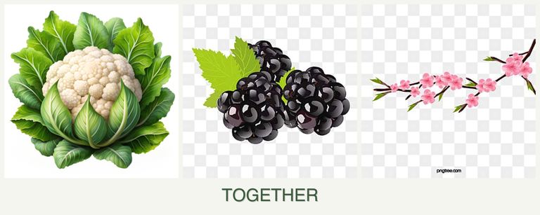 Can you plant cauliflower, blackberries and peaches together?