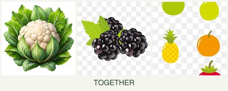 Can you plant cauliflower, blackberries and pears together?