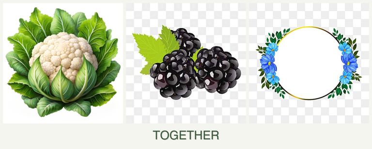 Can you plant cauliflower, blackberries and zinnias together?