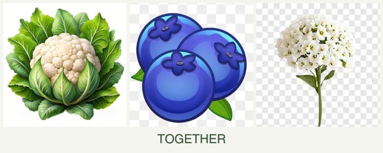 Can you plant cauliflower, blueberries and alyssum together?