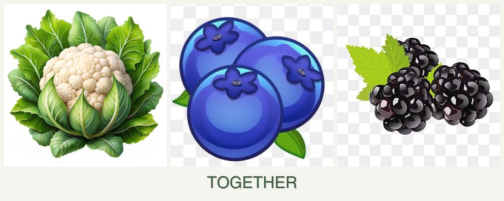 Can you plant cauliflower, blueberries and blackberries together?