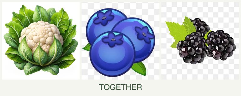 Can you plant cauliflower, blueberries and blackberries together?
