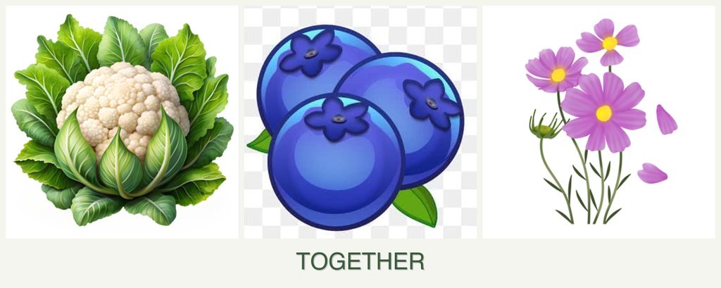 Can you plant cauliflower, blueberries and cosmos together?