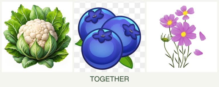 Can you plant cauliflower, blueberries and cosmos together?