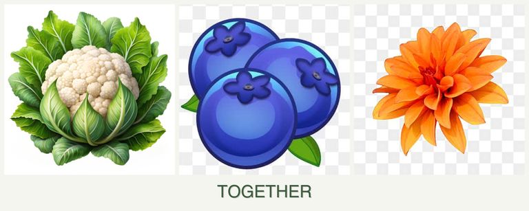 Can you plant cauliflower, blueberries and dahlias together?