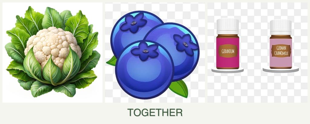 Can you plant cauliflower, blueberries and geraniums together?