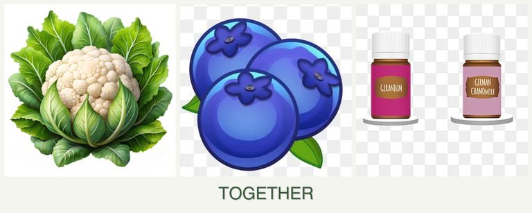 Can you plant cauliflower, blueberries and geraniums together?