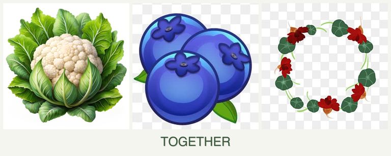 Can you plant cauliflower, blueberries and nasturtiums together?