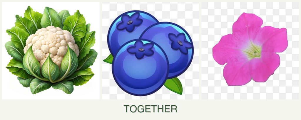 Can you plant cauliflower, blueberries and petunias together?