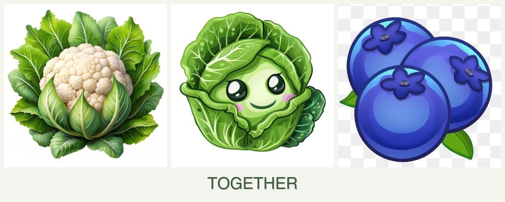 Can you plant cauliflower, cabbage and blueberries together?