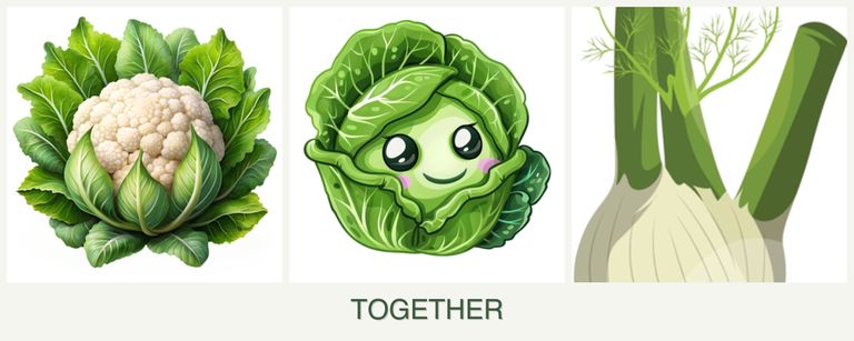 Can you plant cauliflower, cabbage and fennel together?