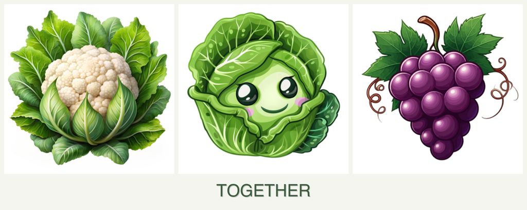 Can you plant cauliflower, cabbage and grapes together?